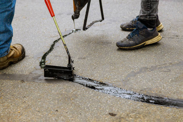 Best Driveway Border and Edging  in Lake Oswego, OR